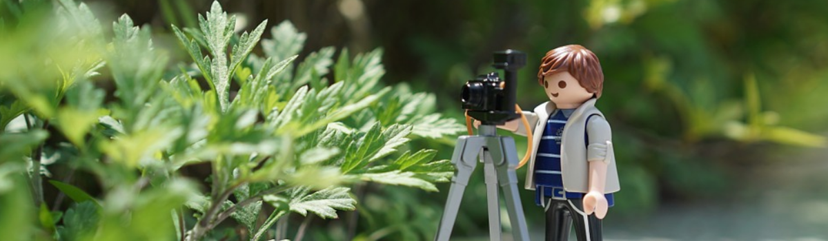 Hochzeitsfotograf Ammerland 