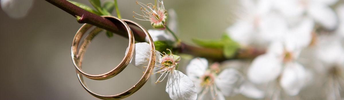 Hochzeitsbaum