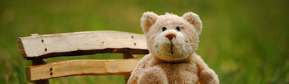 Teddy als Geschenk